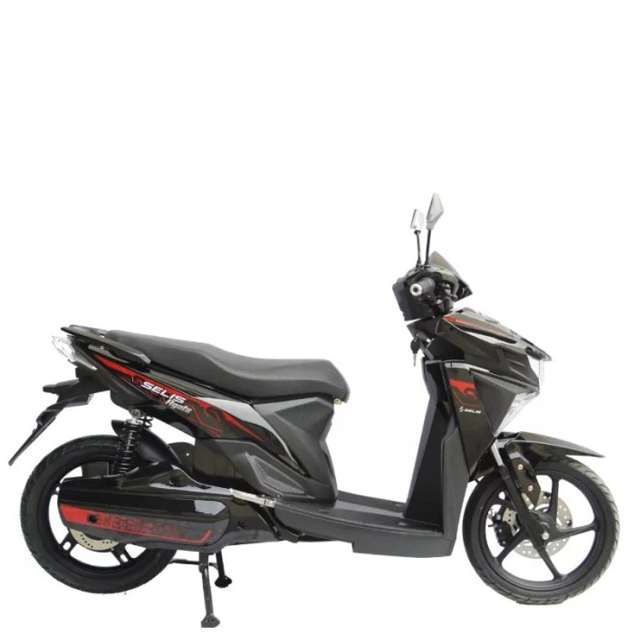 Motor Listrik Selis Agats